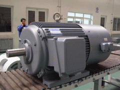 變頻電機(jī)的ZTP電機(jī)應(yīng)用場(chǎng)合。
