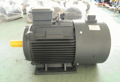 影響高效節(jié)能電機(jī)直流電機(jī)的效率的因素有哪些？