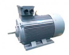 青海大型電機(jī)維修廠(chǎng)高壓電機(jī)家,電機(jī)廠(chǎng)電機(jī)維修公司